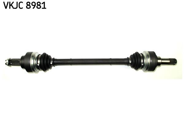 Aks Körüğü Rulmanı SKF