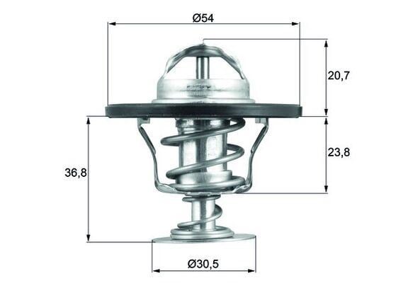Termostat MAHLE