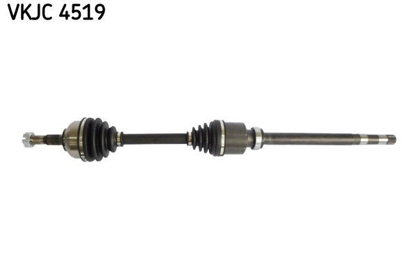 Aks Rulmanı SKF