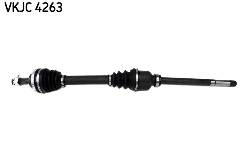 Aks Rulmanı SKF