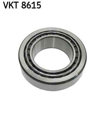 Şanzıman Rulmanı SKF