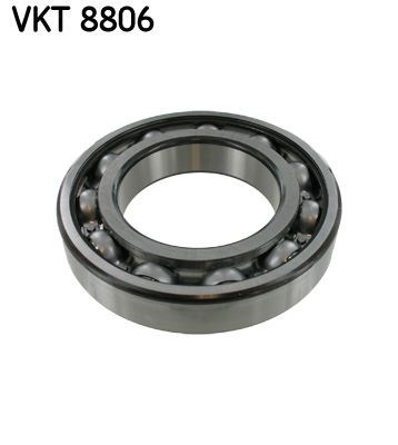 Şanzıman Rulmanı SKF