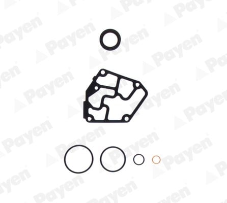 VAG Alt Takım Contası PAYEN