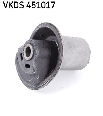 Rulman SKF