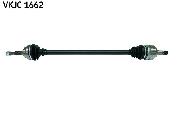 Aks Rulmanı SKF