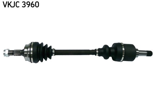 Aks Rulmanı SKF
