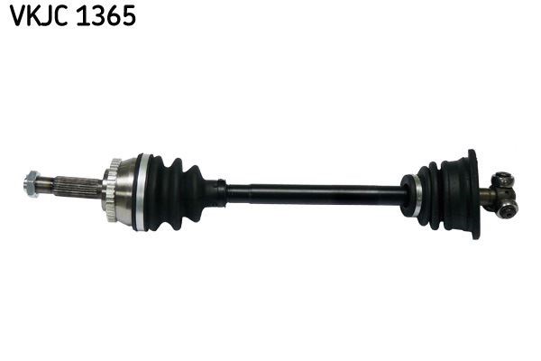 Aks Rulmanı SKF