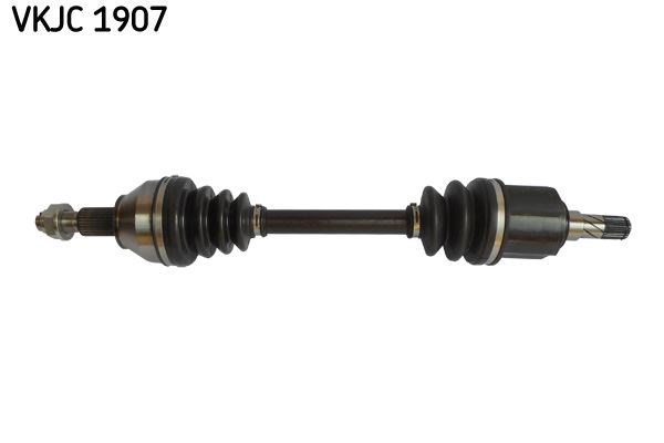 Aks Rulmanı SKF