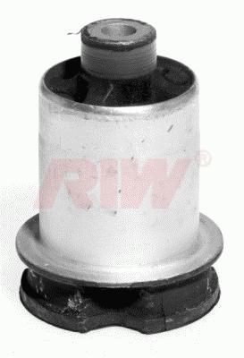 Salıncak ve Denge Kolu Burcu Arka RIW