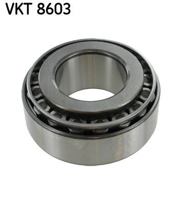 Şanzıman Rulmanı SKF