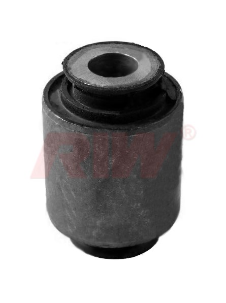 Arka Salıncak ve Denge Kolu Burcu RIW