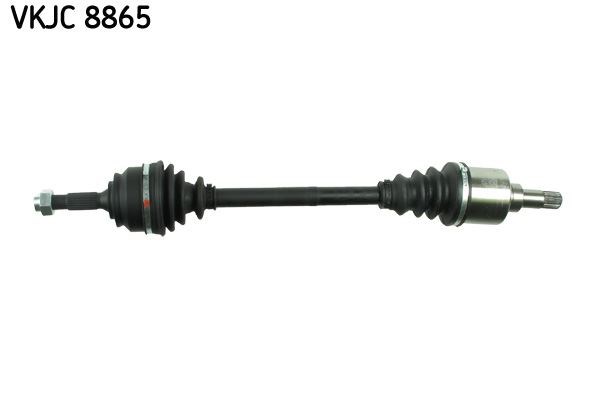 Aks Rulmanı SKF