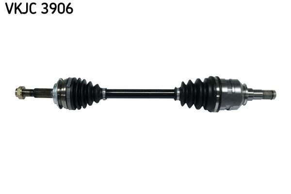 Aks Rulmanı SKF