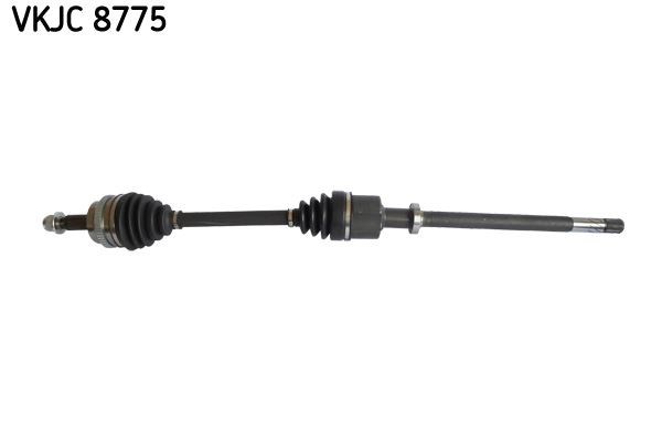 Aks Rulmanı SKF