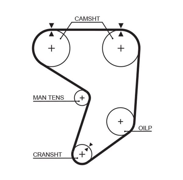 Mavi Triger Kayışı GATES