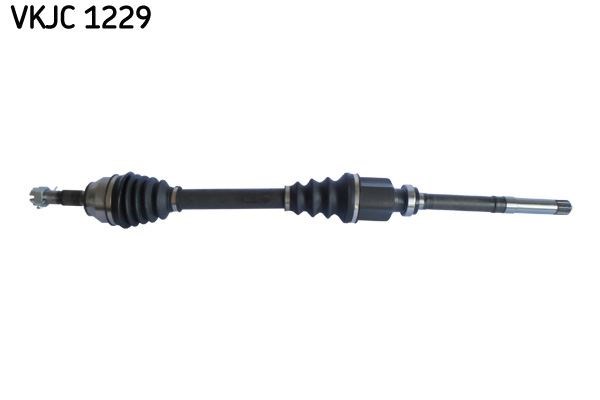 Aks Rulmanı SKF