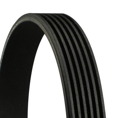 V Kayışı CONTITECH