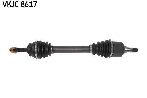 Aks Rulmanı SKF