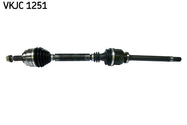 Aks Rulmanı SKF