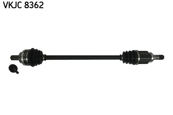 Aks Rulmanı SKF