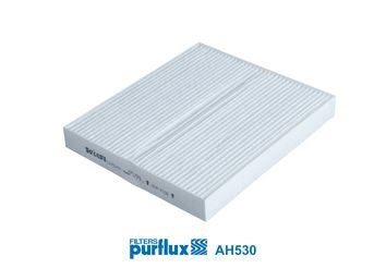 Polen Filtresi PURFLUX