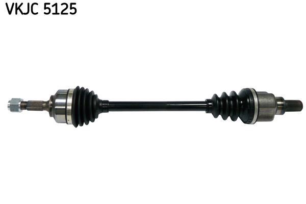 Aks Rulmanı SKF