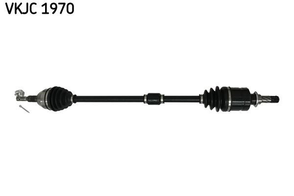 Aks Rulmanı SKF