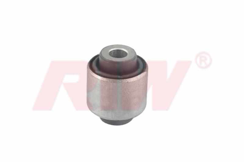Salıncak ve Denge Kol Burcu Arka RIW