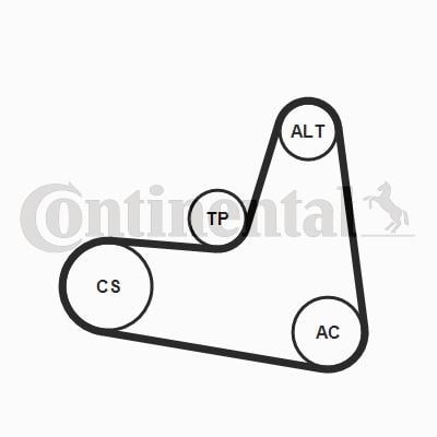 Multi V Kayışı Kiti 6PK1120K2 CONTITECH
