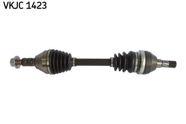 Aks Rulmanı SKF