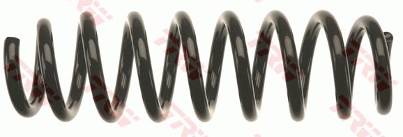 Arka Aks Süspansiyon Yayı TRW