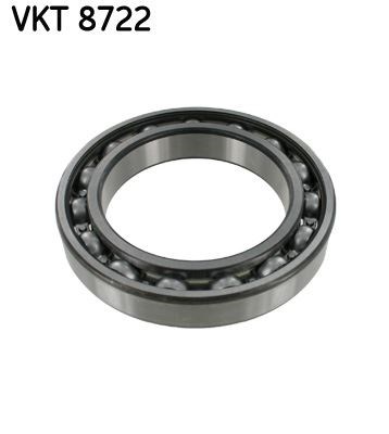 Şanzıman Rulmanı SKF