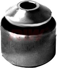 Salıncak ve Denge Kolu Burcu Dış Arka Alt RIW
