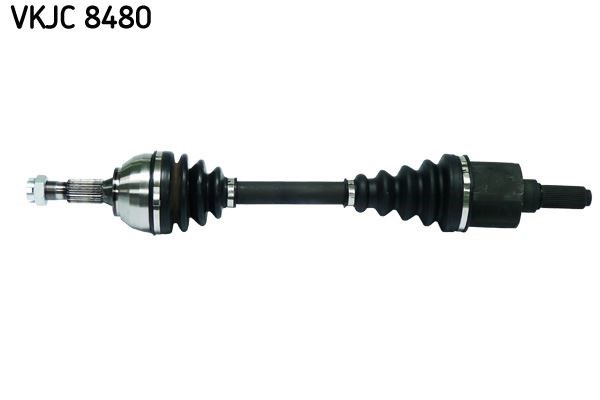 Aks Rulmanı SKF