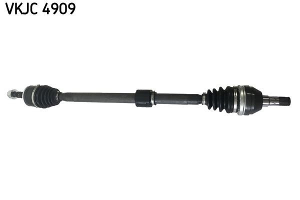Aks Rulmanı SKF