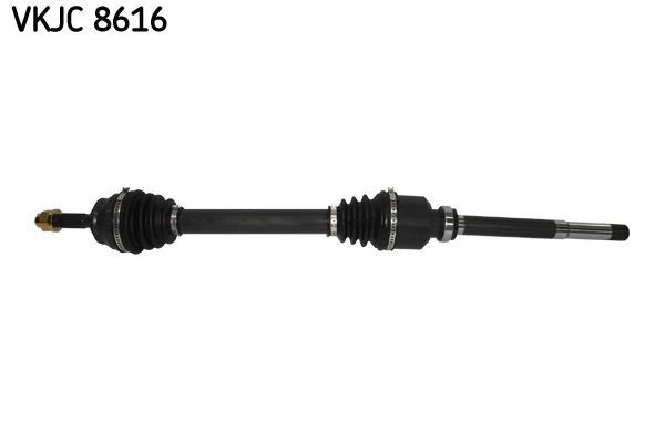 Aks Rulmanı SKF