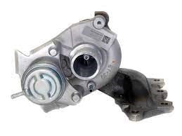 Turbo Salyangozu MY