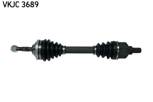 Aks Rulmanı SKF