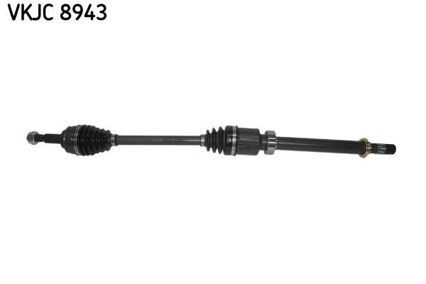 Aks Körüğü Rulmanı SKF