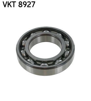 Şanzıman Rulmanı SKF