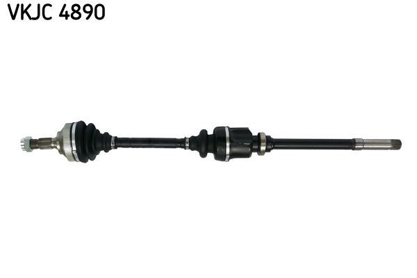 Aks Rulmanı SKF