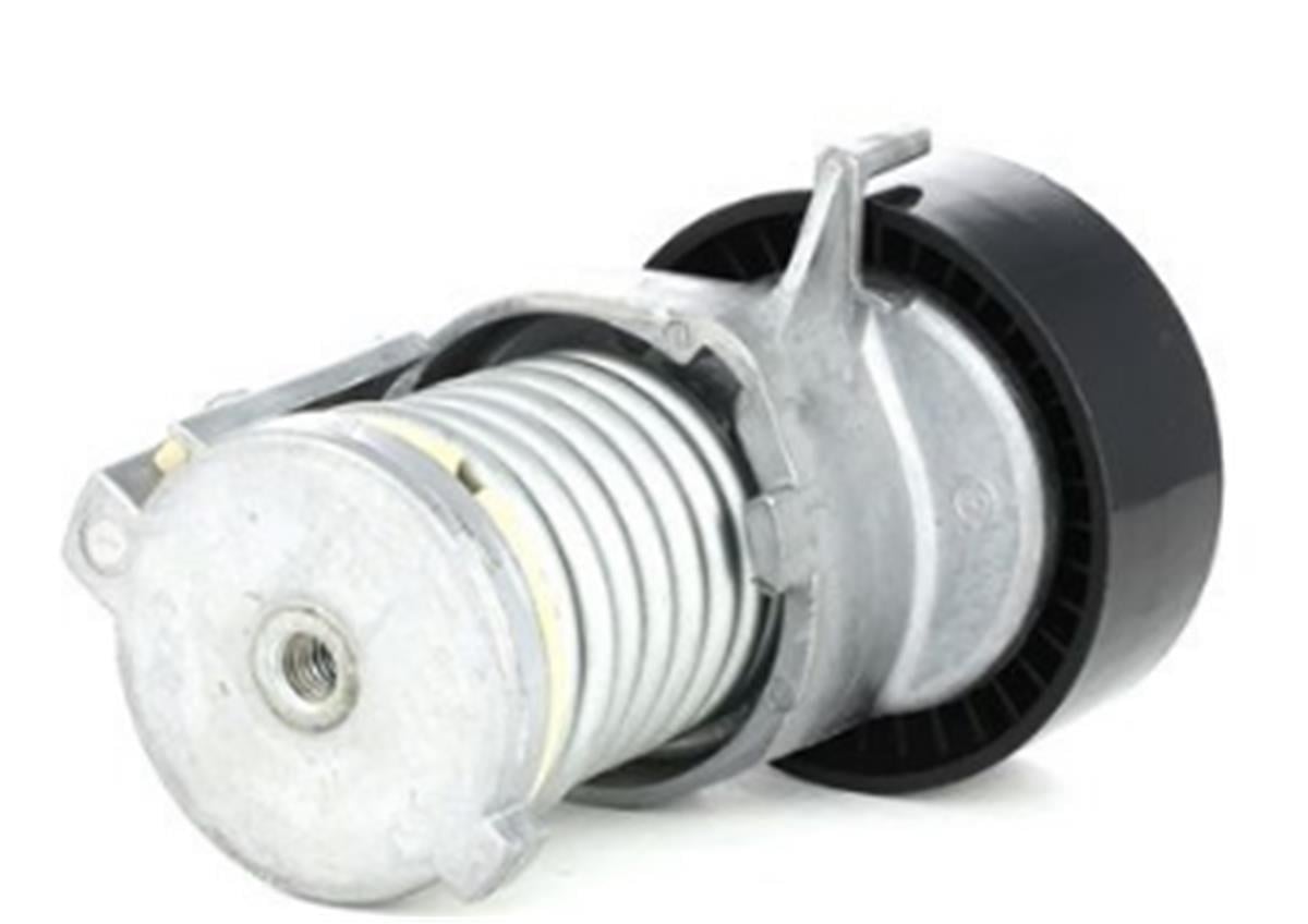 Vw Polo Golf 4 Bora Seat Cordoba Fabia V Kayış Gergi Komple Bsg Aee Alm 030145299F