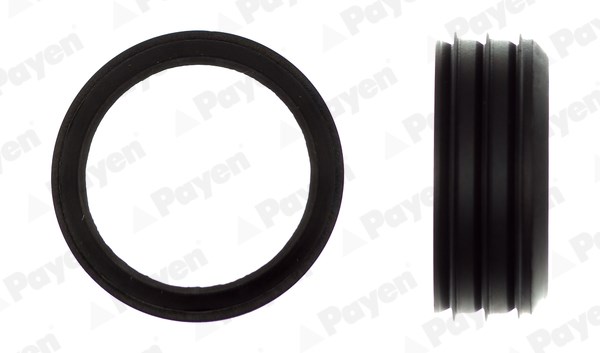 Volkswagen Emme Manifold Ara Conta PAYEN