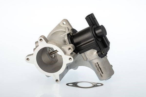 VW EGR Valfi Elektrikli [2.5 2003-2013] BORGWARNER