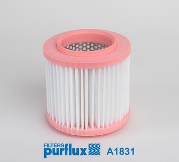 VW Hava Filtresi PURFLUX