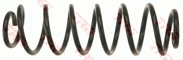 VW Fox Arka Aks Süspansiyon Yayı TRW