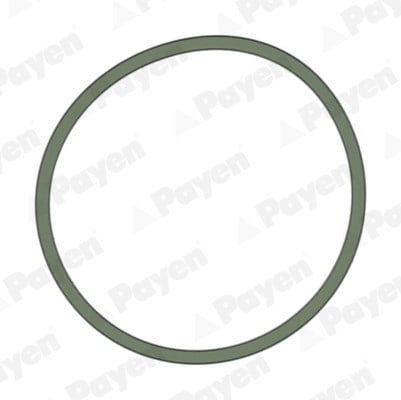 VAG Manifolt Contası PAYEN
