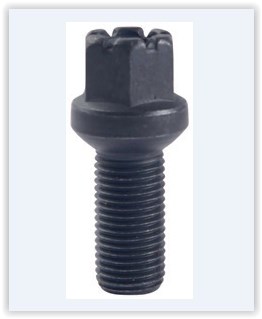 Volkswagen Bijon AYHAN