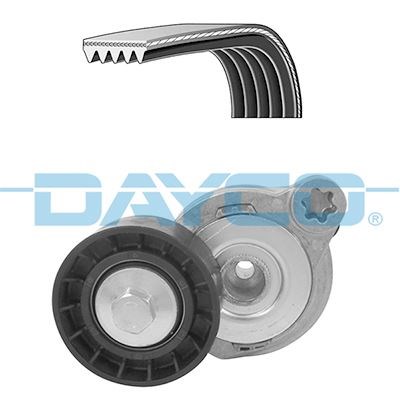 Volvo S60 2 Alternatör Gergi Rulmanı Kütüklü Kayışlı DAYCO
