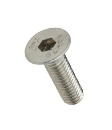 M3x6mm YSB Vida - Havşa Başlı